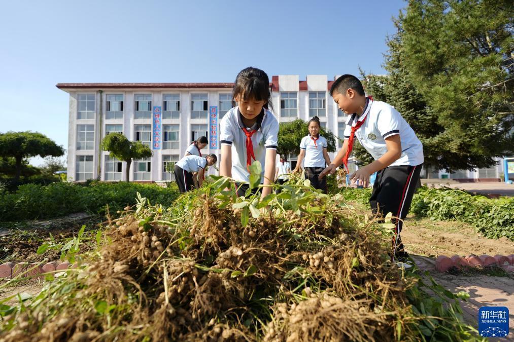 大奖网官方网站网址